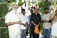 Varun Tej Movie Opening Photos
